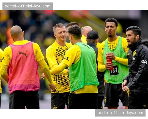 多特蒙德公布客战莱比锡大名单，罗伊斯伤愈复出